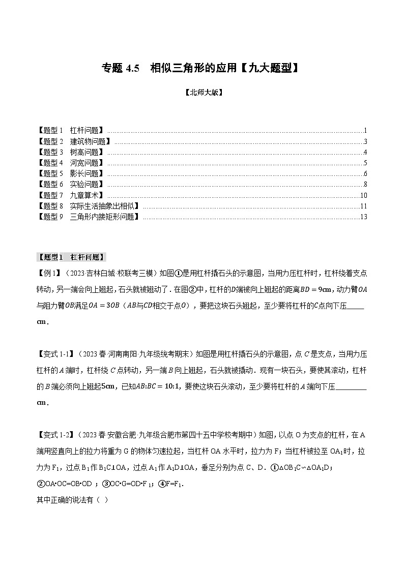 专题4.5 相似三角形的应用【九大题型】（举一反三）（北师大版）（原卷版）第1页