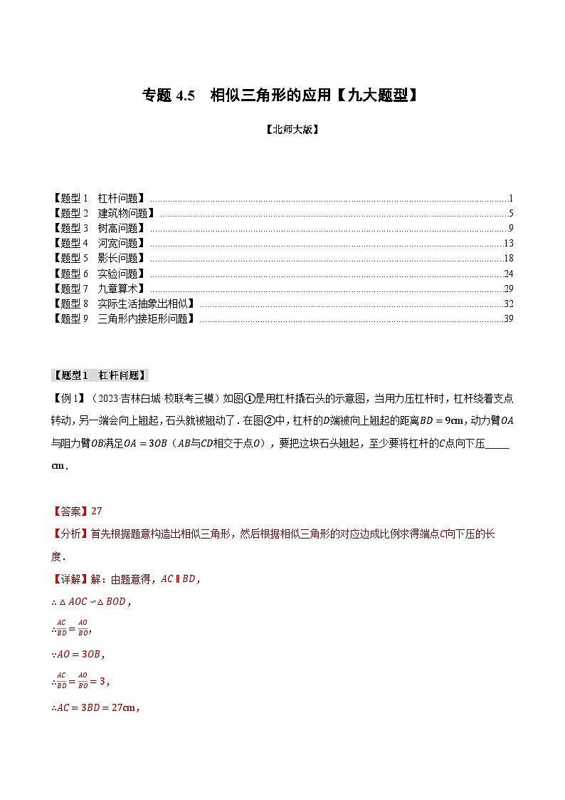 专题4.5 相似三角形的应用【九大题型】（举一反三）（北师大版）（解析版）第1页