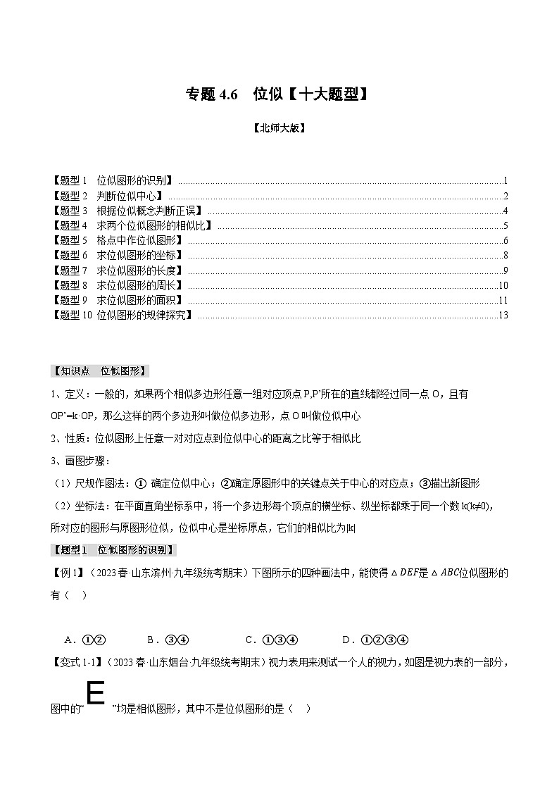 专题4.6 位似【十大题型】（举一反三）（北师大版）（原卷版）第1页