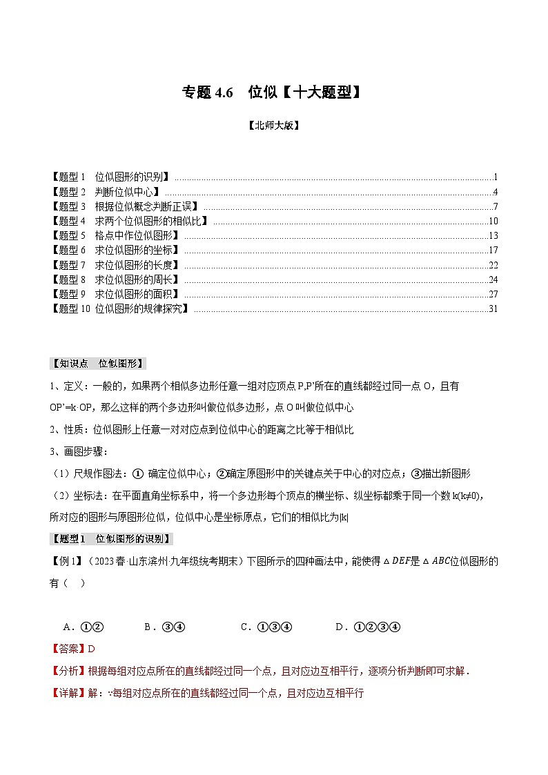 专题4.6 位似【十大题型】（举一反三）（北师大版）（解析版）第1页