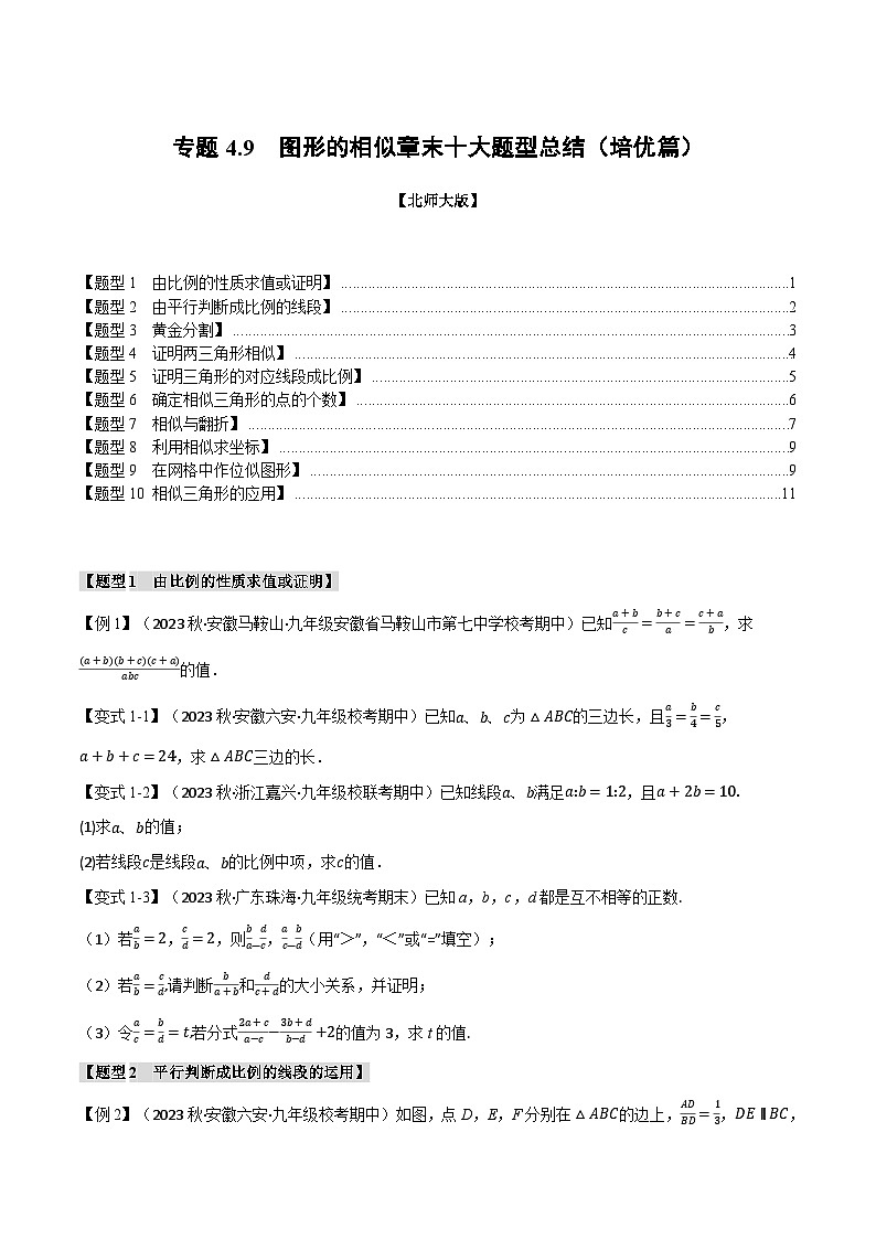 专题4.9图形的相似章末十大题型总结（培优篇）-2024-2025学年九年级数学上册举一反三系列（北师大版）01