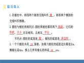 北師大版（2024）數(shù)學(xué)七年級上冊課件 1.1 生活中的立體圖形 第2課時(shí) 立體圖形的構(gòu)成