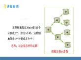 北師大版（2024）數(shù)學(xué)七年級(jí)上冊(cè)課件 2.4 有理數(shù)的乘方 第1課時(shí) 有理數(shù)的乘方