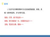 北师大版（2024）数学七年级上册课件 4.1 线段、射线、直线 第1课时线段、射线、直线