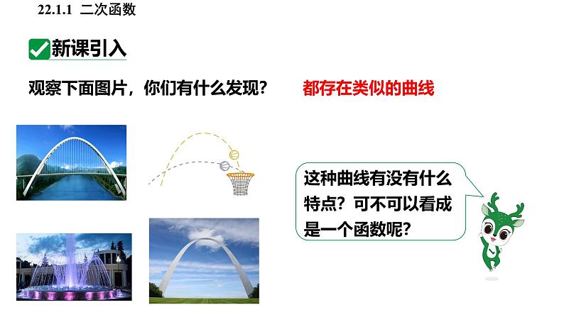 人教版九上数学22.1.1二次函数课件第4页