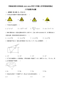 河南省信阳市淮滨县2023-2024学年八年级下学期入学学情调研测试数学试题（原卷版+解析版）