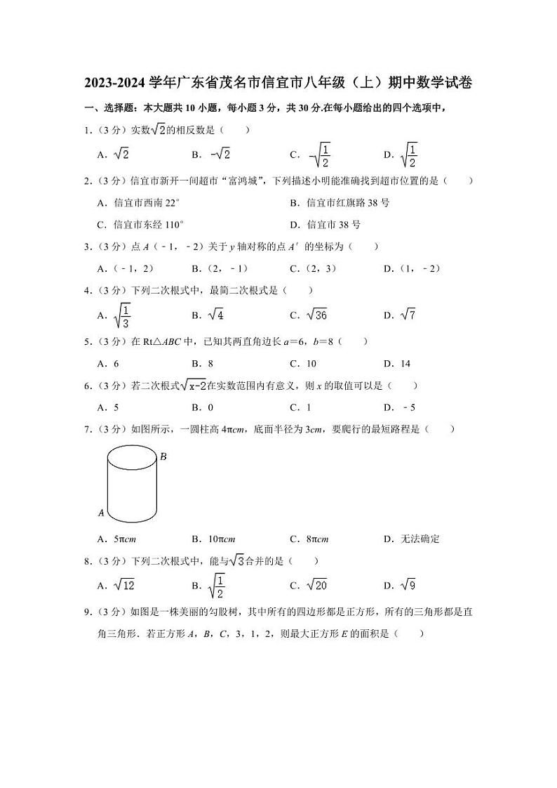 2023-2024学年广东省茂名市信宜市八年级（上）期中数学试卷01