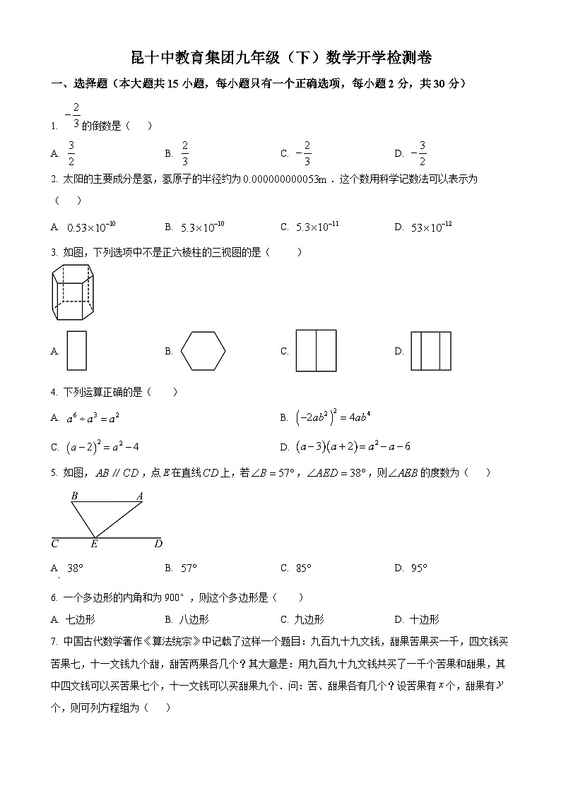 云南省昆明市昆十中教育集团2023-2024学年九年级下学期数学开学考试试题（原卷版）01