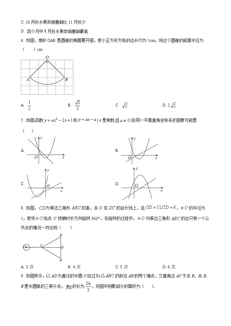 河南省周口市沈丘县沈丘县中英文学校2023-2024学年九年级下学期开学数学试题（原卷版）第2页