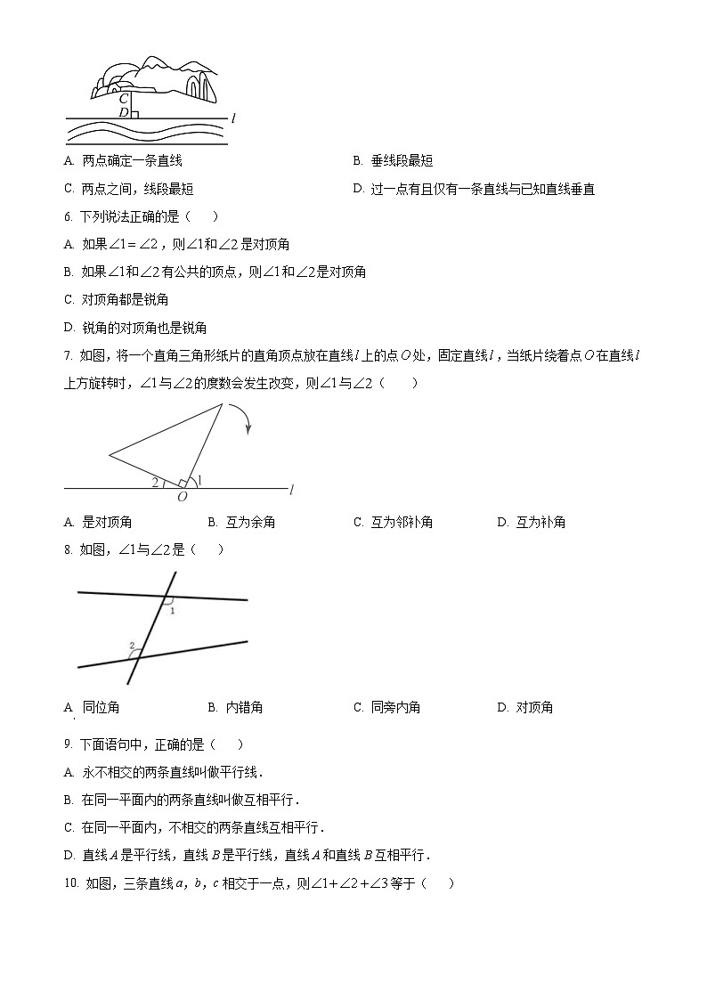 山东省聊城市第六中学2023-2024学年七年级下学期开学考试数学试题 （原卷版）02