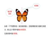 2.1 圖形的軸對(duì)稱 浙教版八年級(jí)數(shù)學(xué)上冊(cè)課件