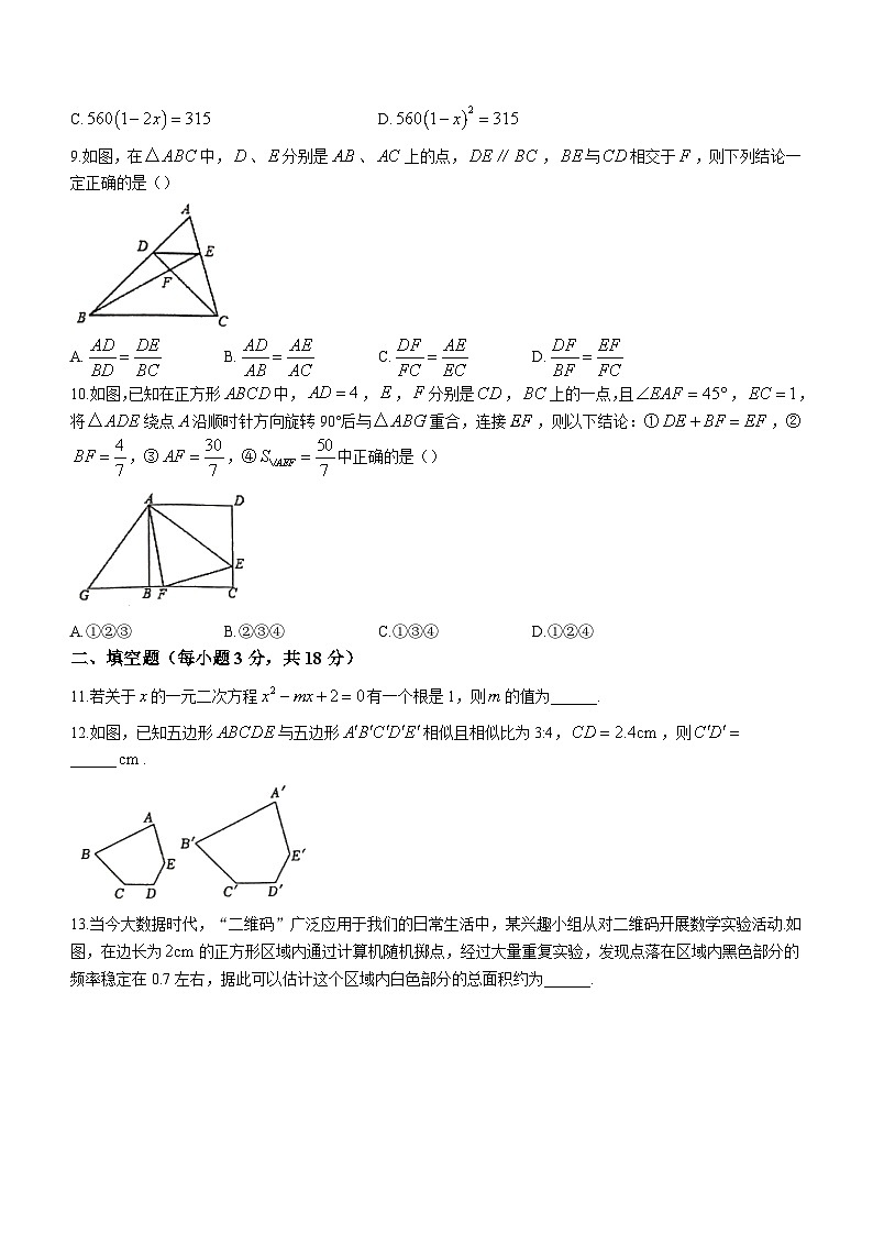 广东省揭阳市揭东区2023-2024学年九年级上学期期中数学试题02