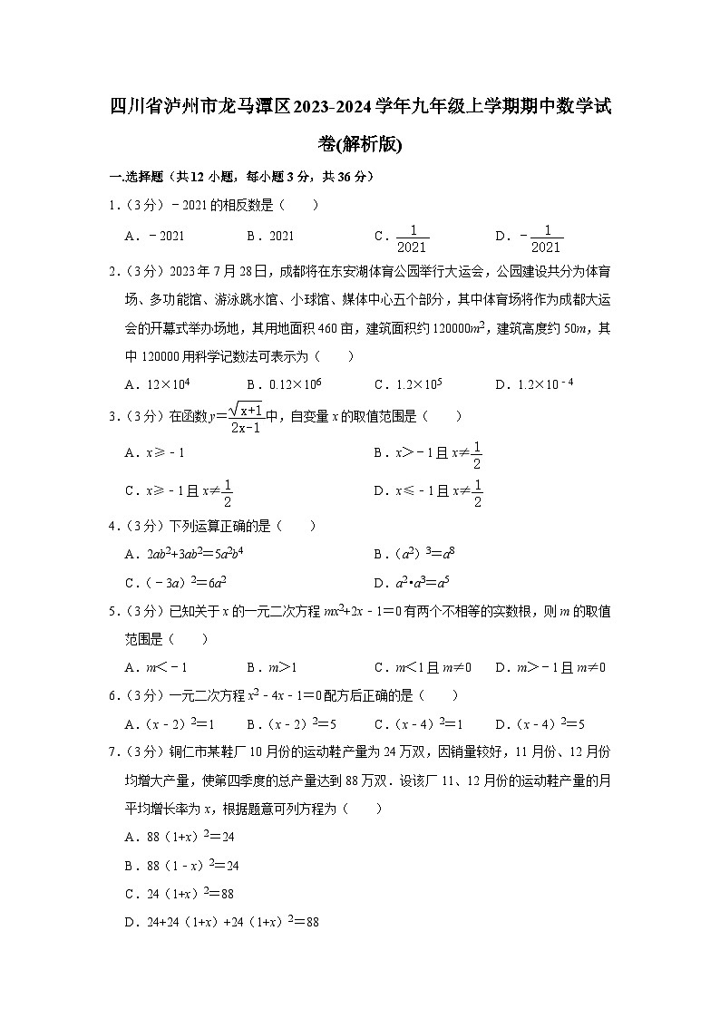 四川省泸州市龙马潭区2023-2024学年九年级上学期期中数学试卷01