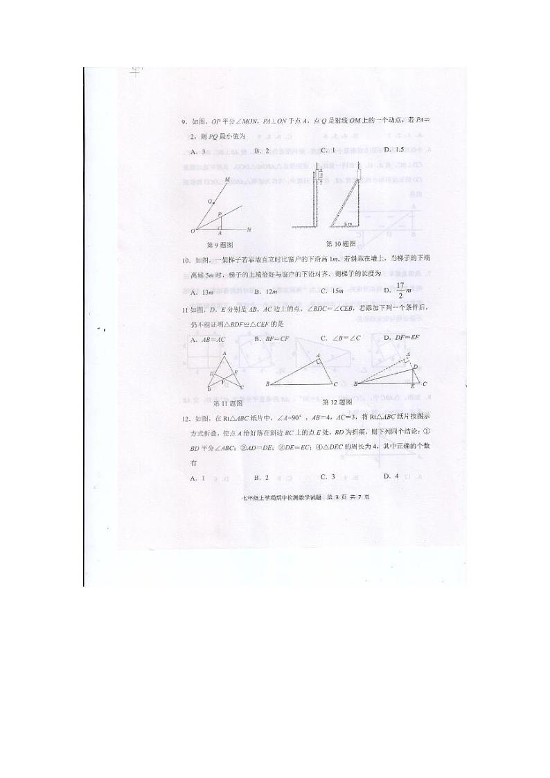 山东省泰安市新泰市2023-2024学年七年级上学期11月期中数学试题03