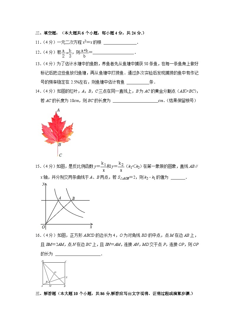 2023-2024学年山东省济南市天桥区九年级（上）期中数学试卷03