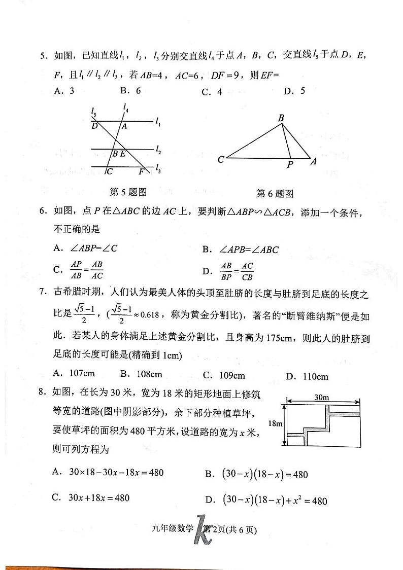 河南省南阳市西峡县2023-2024学年九年级上学期11月期中数学试题第2页