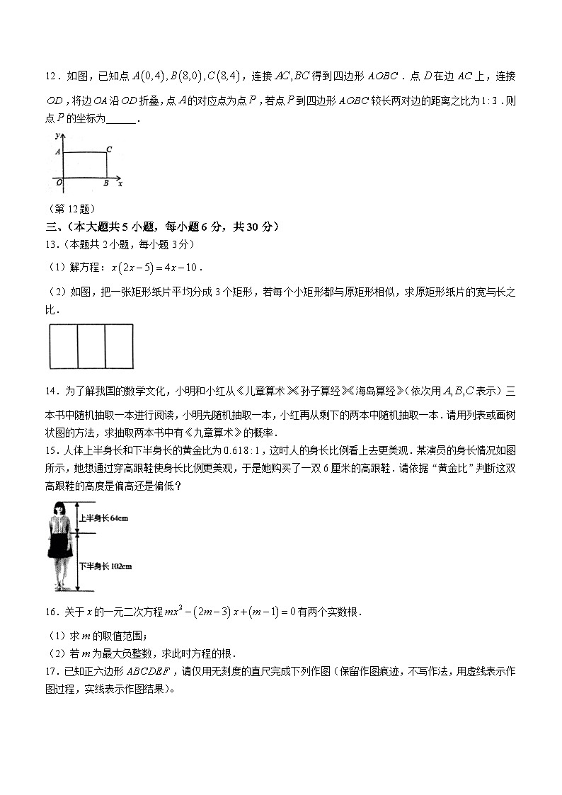 江西省鹰潭市余江区2023-2024学年九年级上学期期中数学试题03