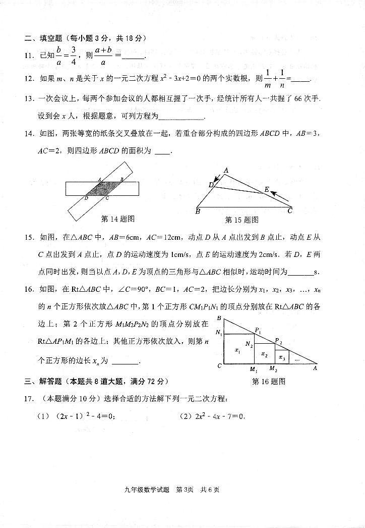 山东省枣庄市薛城区2023-—2024学年九年级上学期期中考试数学试题02