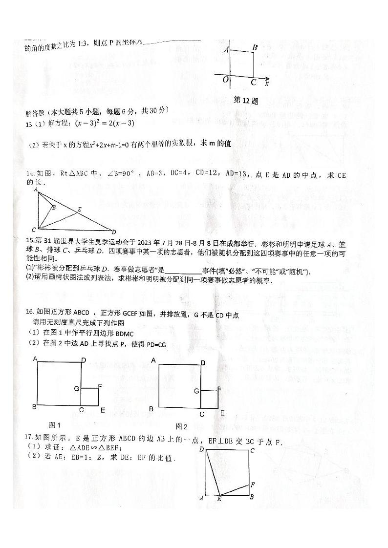 江西省九江市永修县2023-2024学年九年级上学期11月期中数学试题02