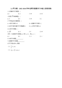 初中数学北师大版（2024）八年级上册2 平方根课时练习