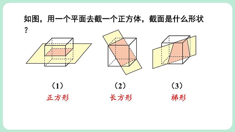 1.3 截一个几何体 课件-2024-2025学年北师大版数学七年级上册05