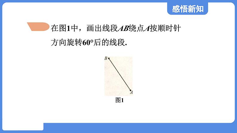 4.2.2 旋转作图  课件 鲁教版数学八年级上册07