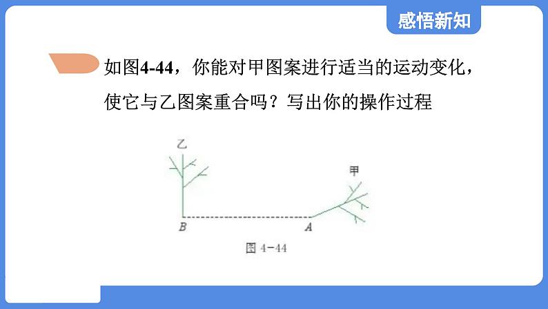 4.4.1 两个图形之间的变化  课件 鲁教版数学八年级上册06