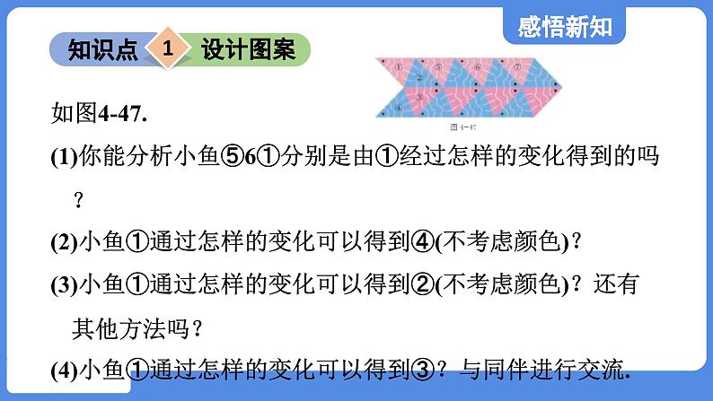 4.4.2 图形变化的简单应用  课件 鲁教版数学八年级上册03