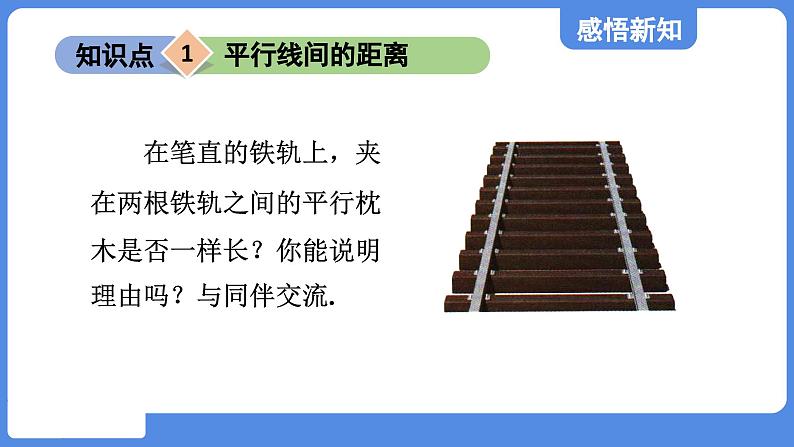 5.1.3 平行线间的距离  课件 鲁教版数学八年级上册04