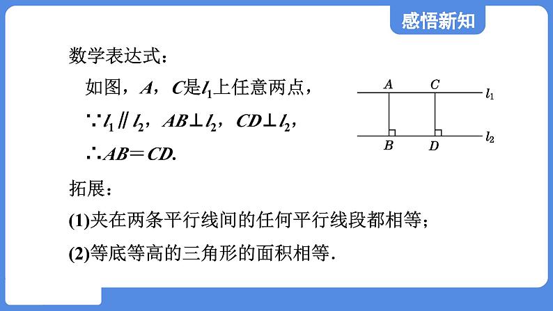 5.1.3 平行线间的距离  课件 鲁教版数学八年级上册06