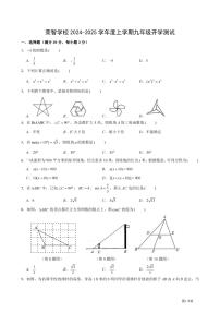 2024.8.30哈尔滨市荣智学校九年级（上）开学测试数学试卷和答案