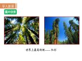沪科版九年级数学上册 22.5  综合与实践  测量与误差 课件