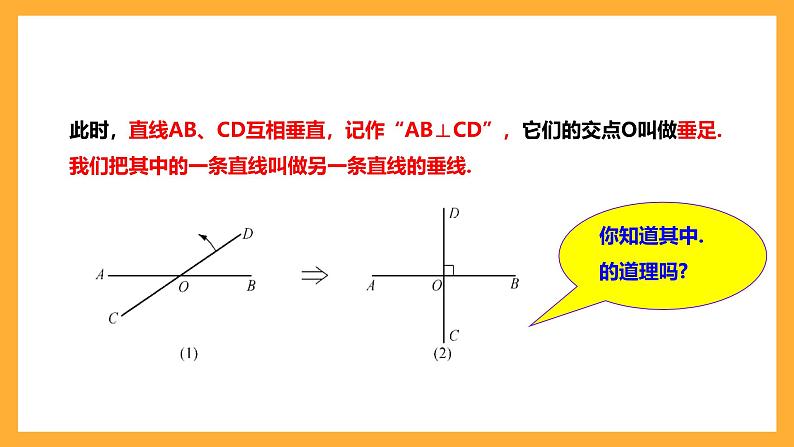 华师大版数学七上 5.1.2《垂线》课件05