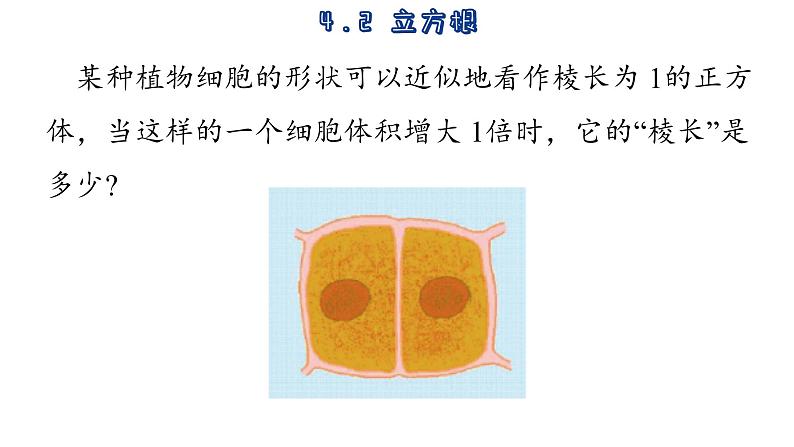 苏科版数学八年级上册4.2  立方根  课件03