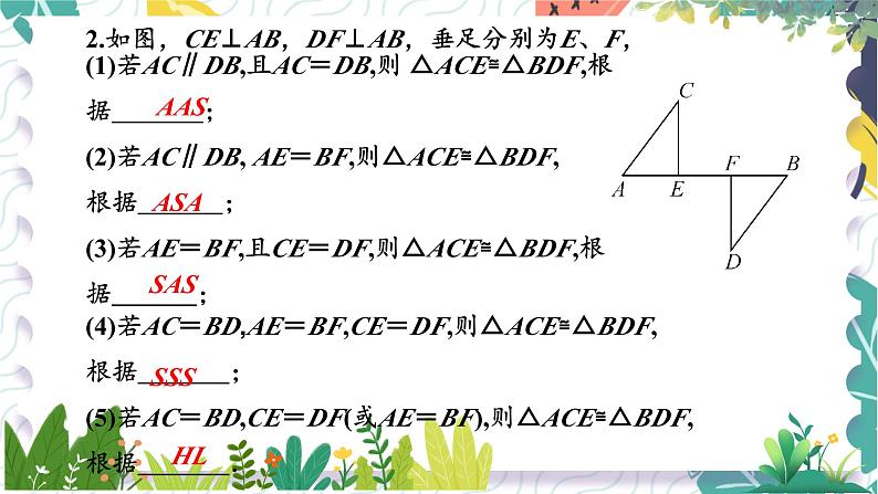沪科版（2024）数学八年级上册 第14章 14.2 第6课时  全等三角形判定方法的综合运用 PPT课件+教案03