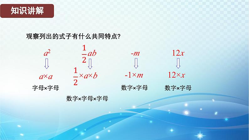 2.3.1 单项式 华东师大版（2024）数学七年级上册课件05