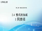 2.4.1 同类项 华东师大版（2024）数学七年级上册课件