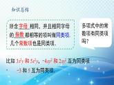 2.4.1 同类项 华东师大版（2024）数学七年级上册课件