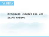 數(shù)學(xué)北師大版（2024）七年級上冊課件 6.2.2.抽樣調(diào)查的可靠性