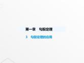 北师大版初中八年级数学上册第一章勾股定理3勾股定理的应用课件