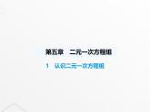北师大版初中八年级数学上册第五章二元一次方程组1认识二元一次方程组课件