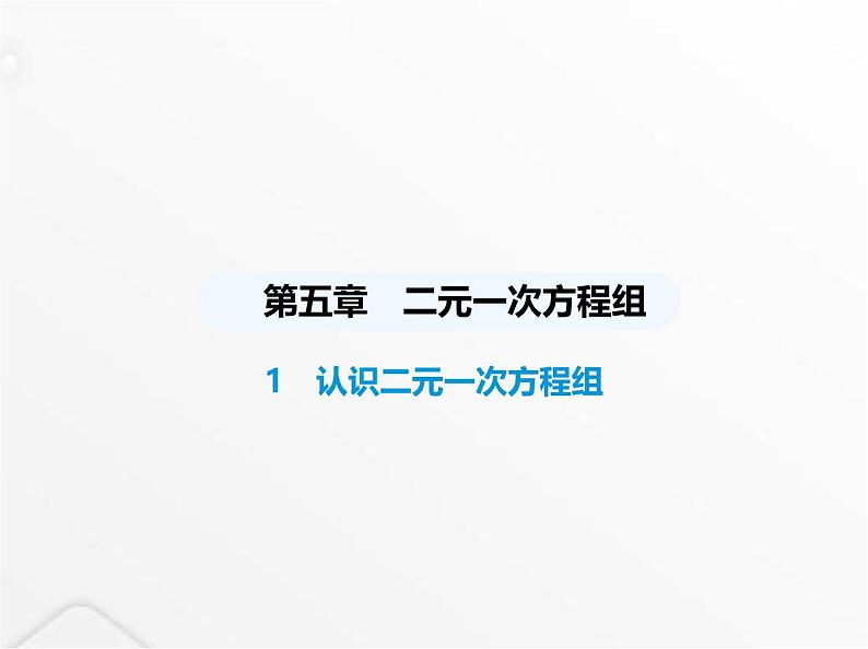 北师大版初中八年级数学上册第五章二元一次方程组1认识二元一次方程组课件01