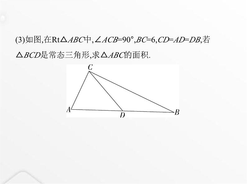北师大版初中八年级数学上册专项素养综合练(四)新定义题型课件第3页