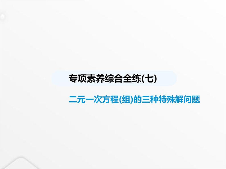 北师大版初中八年级数学上册专项素养综合练(七)二元一次方程(组)的三种特殊解问题课件01