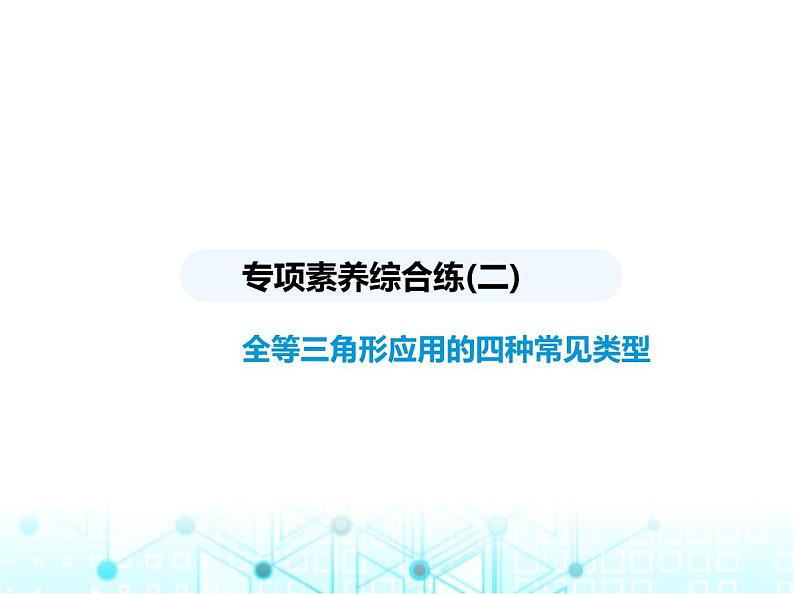 浙教版八年级数学上册专项素养综合练(二)全等三角形应用的四种常见类型课件01