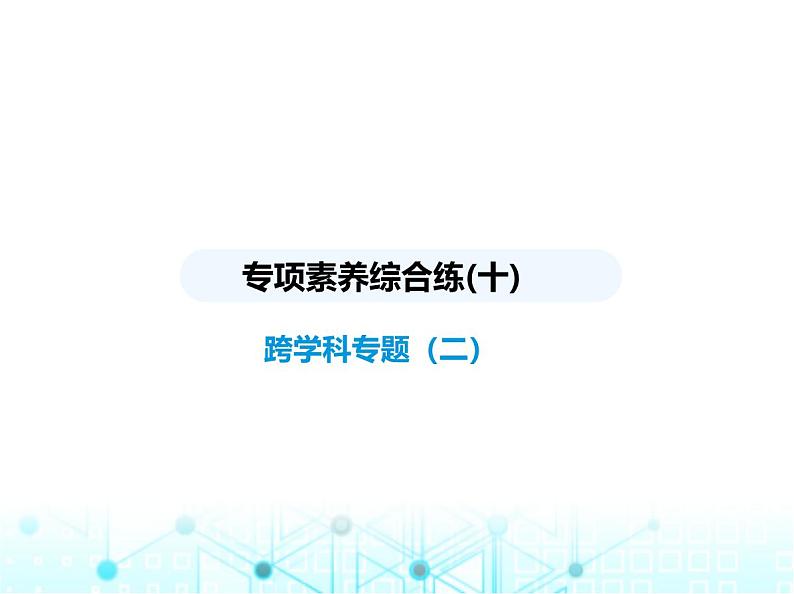 浙教版八年级数学上册专项素养综合练(十)跨学科专题(二)课件第1页