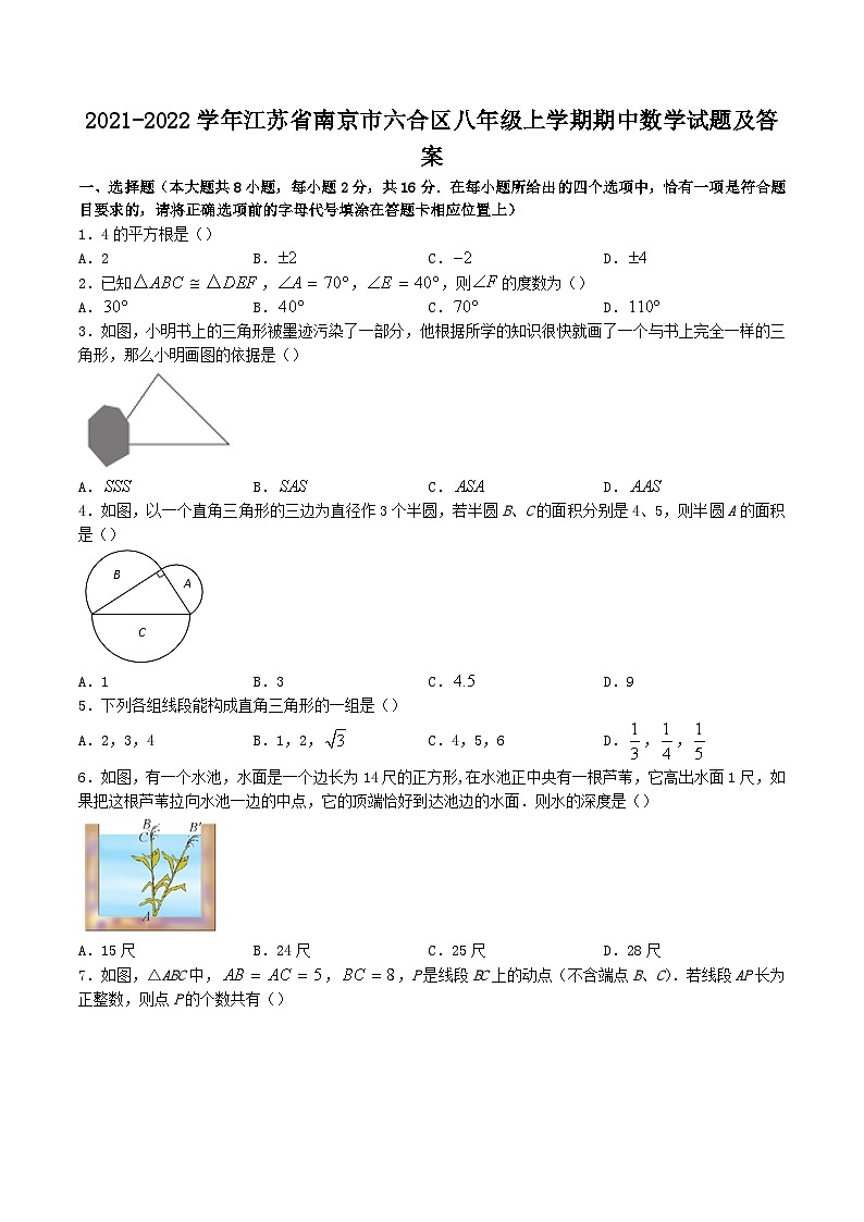 2021-2022学年江苏省南京市六合区八年级上学期期中数学试题及答案第1页
