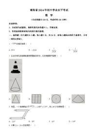 精品解析：2024年青海省中考题数学试题（原卷版）