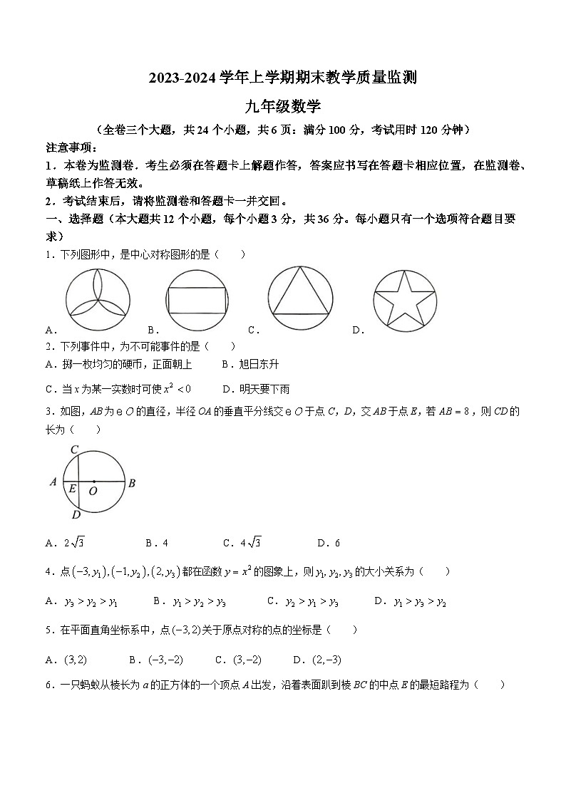云南省红河州金平县2023-2024学年九年级上学期期末数学试题(无答案)01
