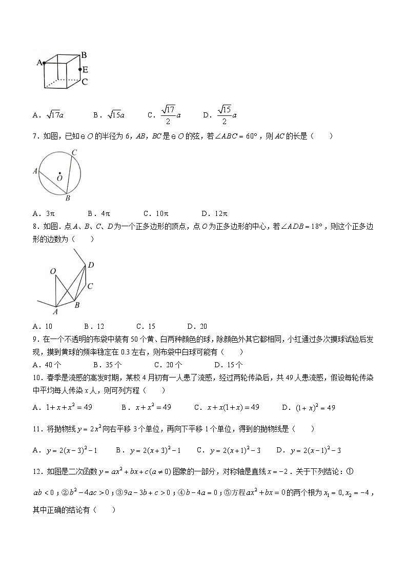 云南省红河州金平县2023-2024学年九年级上学期期末数学试题(无答案)02